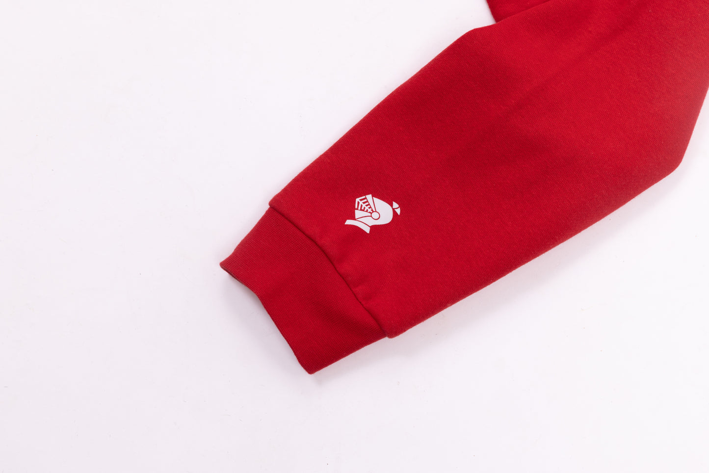 Kids-Hoodie "Landshuter" rot