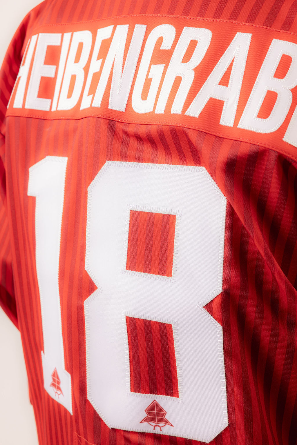 Trikot Nachwuchstag 2026